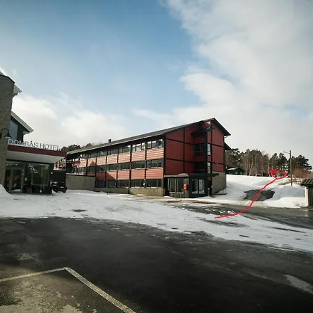 Hotel Dombastun *